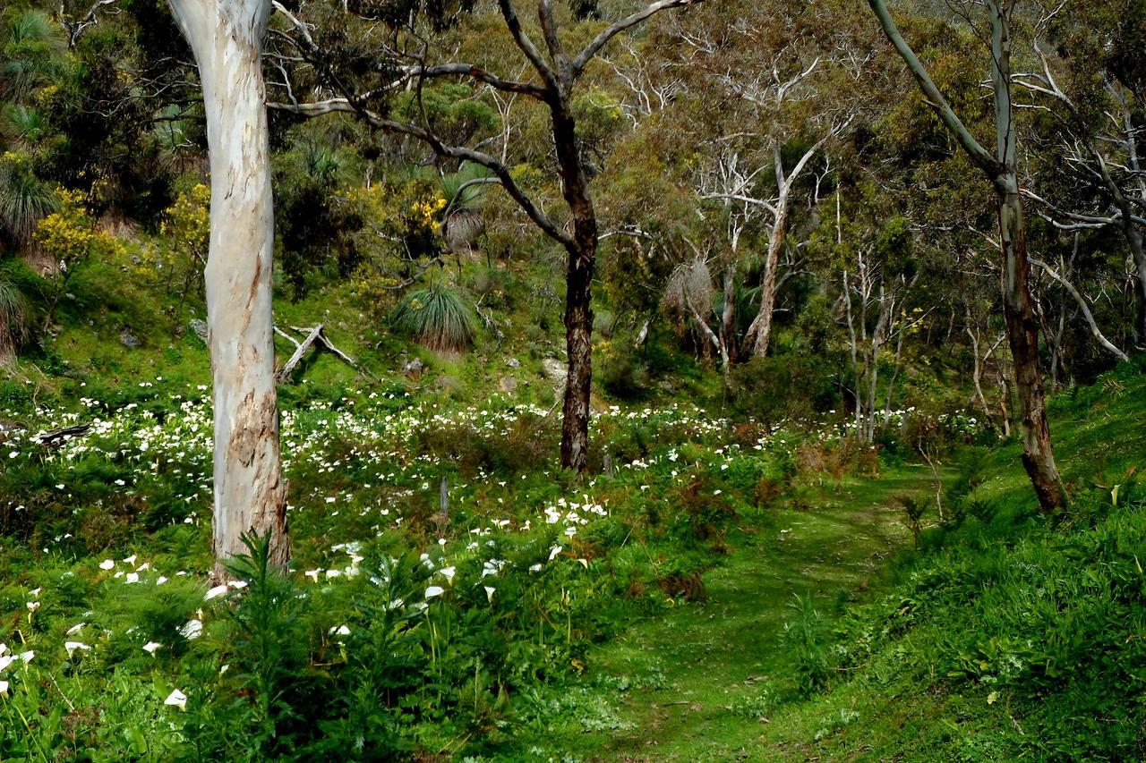Lure Bed And Breakfast Normanville Exteriér fotografie