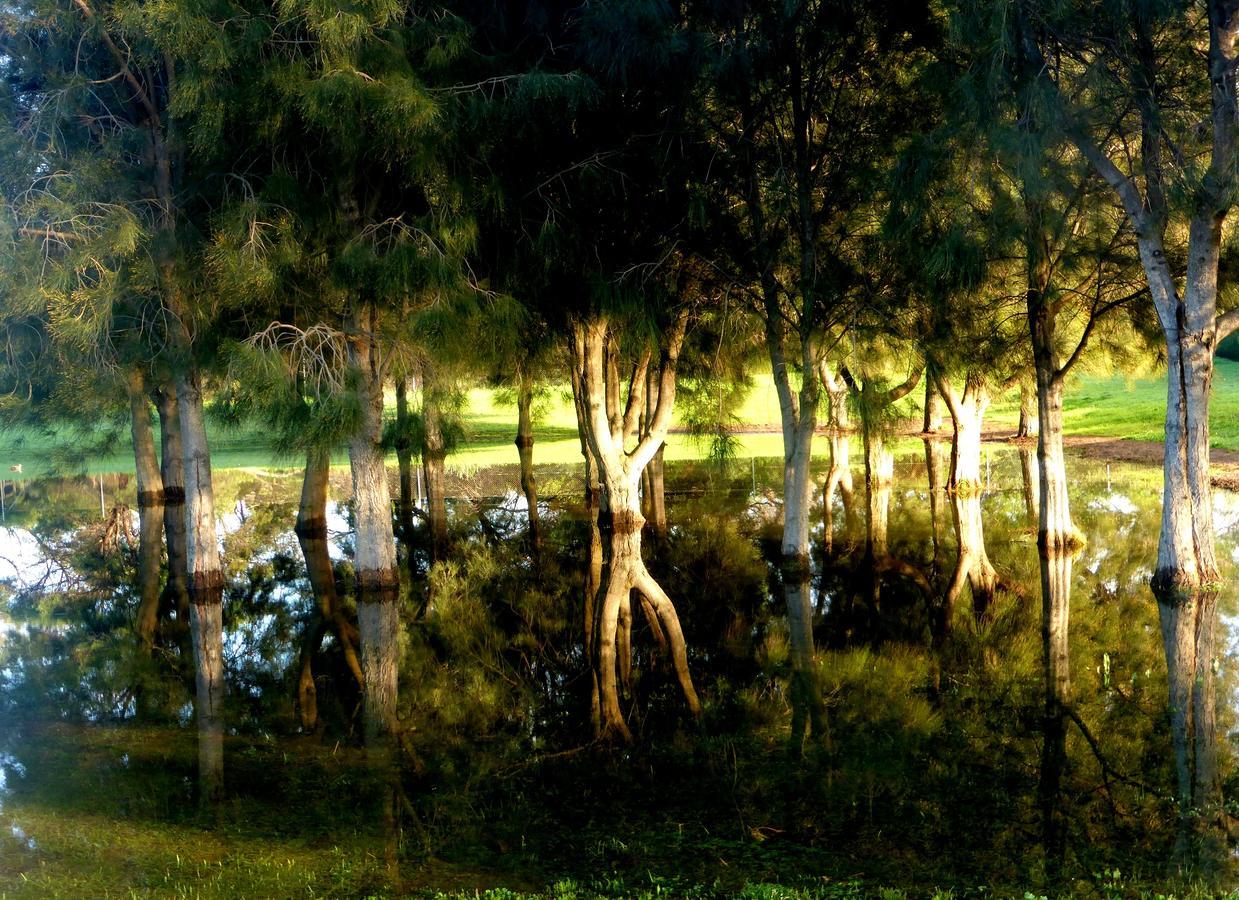 Lure Bed And Breakfast Normanville Exteriér fotografie